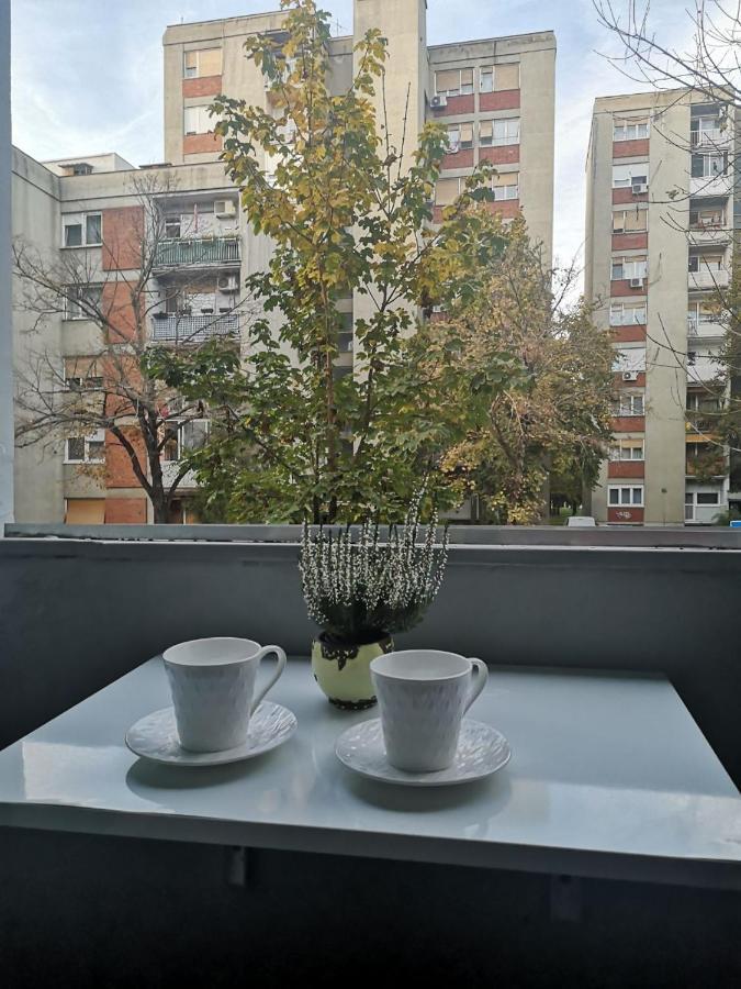 Apartment Vbk 奥西耶克 外观 照片